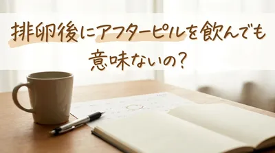 排卵後にアフターピルを飲んでも意味ないの?